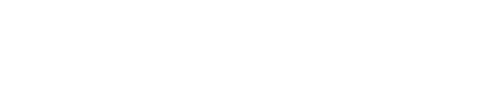 Estética Canina MX
